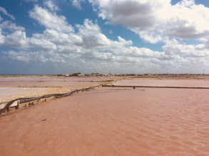 Désert de la Guajira